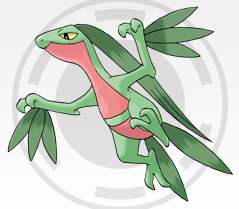 Grovyle.jpg