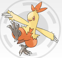 Combusken.jpg