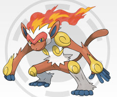 Infernape.jpg