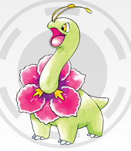 Meganium.jpg